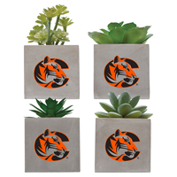 Neil Enterprises Tiger Logo Mini Faux Potted Succulent Plant