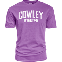 Blue84 Cowley Tigers in Oval Distresed Fashion Colors T-shirt