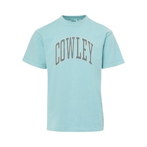 MV Sport Coastal Color Cowley Arched Puff Print T-shirt